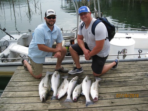 Nice Striped Bass